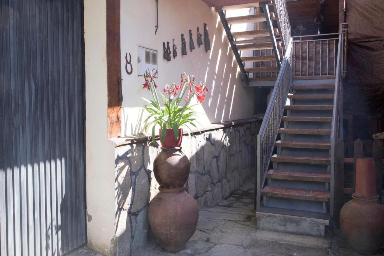 Villa La Charca De La Dehesa Casas del Monte Exterior foto